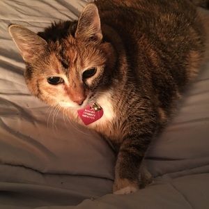 Meet your Posher, Tracy